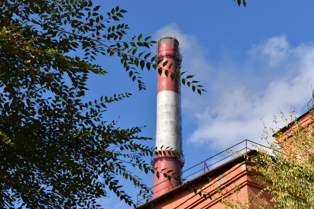 DSC_0897_1.jpg
