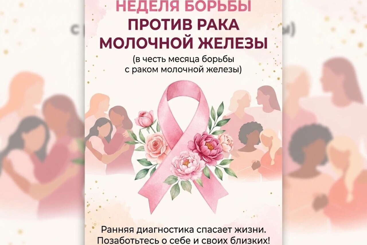 e49a7e79-2f13-4469-9e05-fc06ad1549cb.jpg